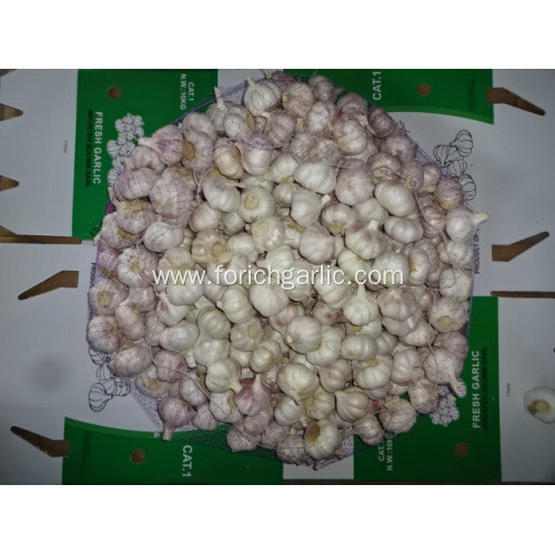 Hot Sale 2020 Normal White Garlic